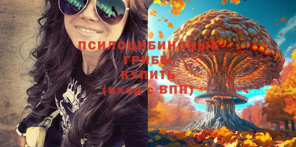 spice Алексин